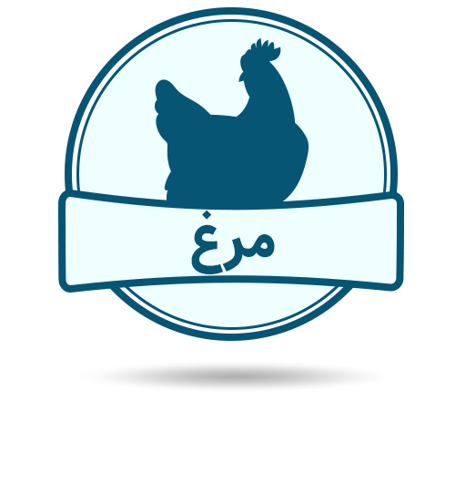 دسته گوشت مرغ