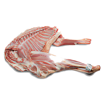 شقه گوسفندی