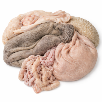 سیراب و شیردان گوسفندی