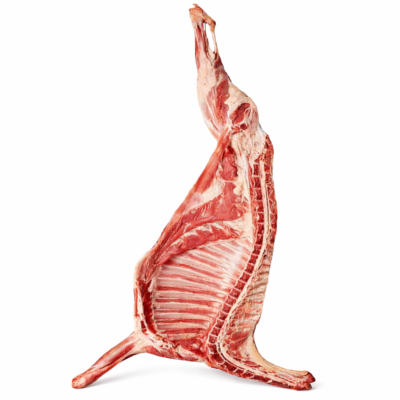 ‎شقه گوسفندی