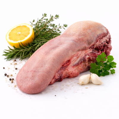 زبان گوساله