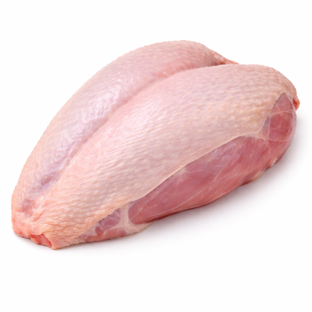 سینه بوقلمون سینه بوقلمون