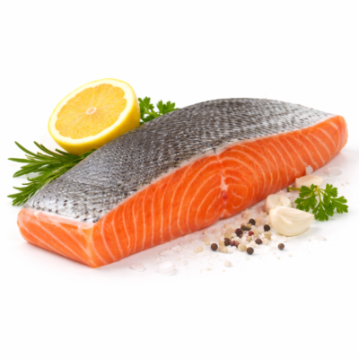 ماهی سالمون